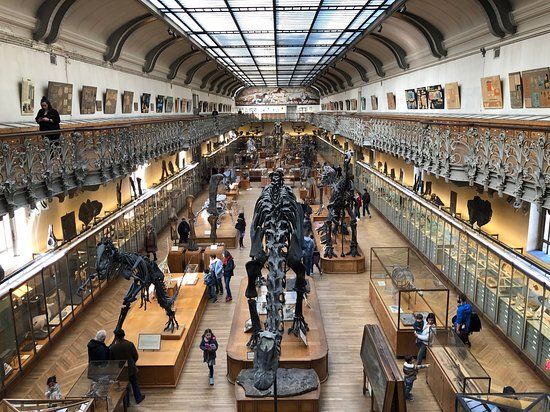 Muséum National d'Histoire Naturelle